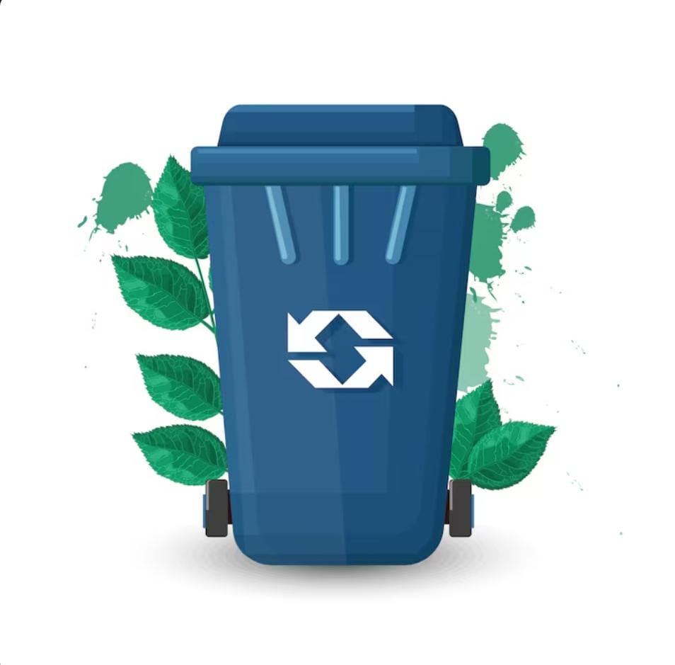 Best Practices for Responsible Waste Disposal in NSW