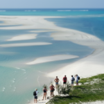 Mozambique eVisa from Congo-democratic-republic-of-the