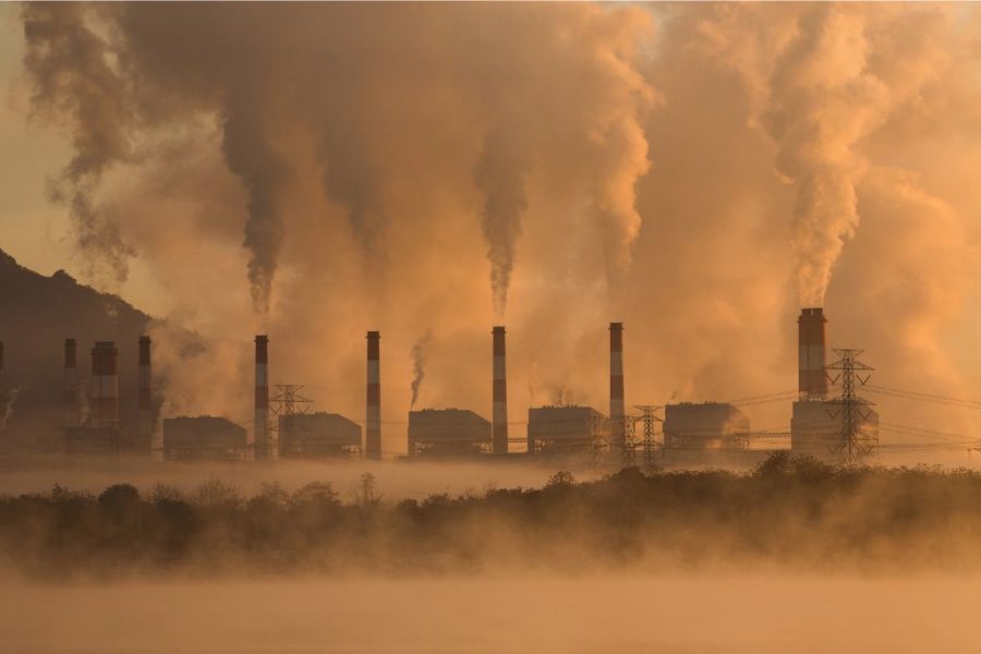 How Air Pollution Affects Your Daily Productivity