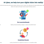 Driving Growth Through Smart Digital Marketing Strategies for Delhi Businesses