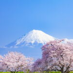 Japan eVisa for Djibouti Citizens