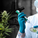 What You Can (and Can’t) Learn From Non-Chromatography Cannabis Test Kits