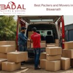 Reliable Packers and Movers Services in Biswanath