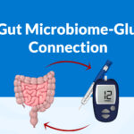 Understanding the Gut Microbiome and Its Role in Health