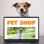 Online Pet Store: Convenient Shopping for All Your Pet Needs