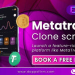 How to Start a Forex Business Using Our MetaTrader Clone Script MT4/MT5?