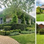 Lawn Mowing Kingsford – Affordable & Reliable Garden Care