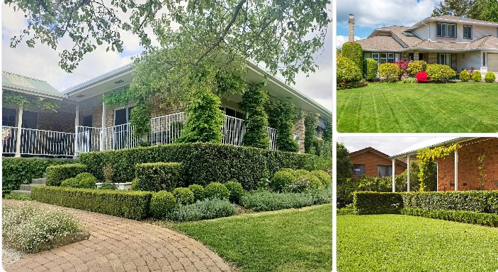 Lawn Mowing Kingsford – Affordable & Reliable Garden Care