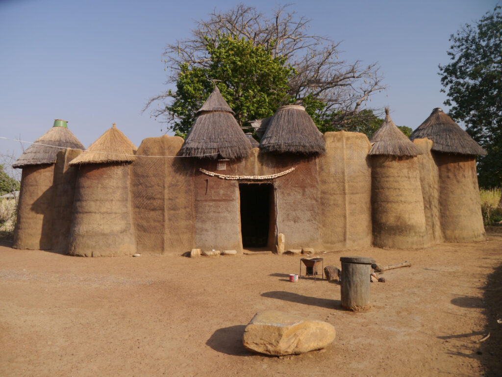 Benin Electronic Visa System for Maldivian Travelers