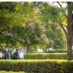 Assisted Living Bangalore