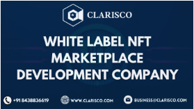 How White Label NFT Marketplace Development Enables Companies to Join the NFT Ecosystem