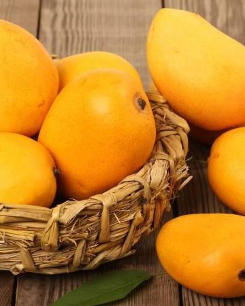 Mango Exports from India: Varieties, Markets, Standards & Global Demand
