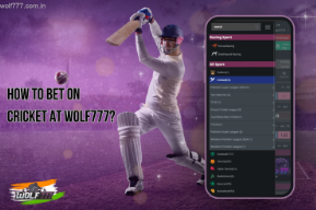 Top Betting Markets on Wolf777 Cricket – Sports, Live Betting & Casino Options Explained