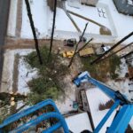 Healthier Trees and Cleaner Yards Start With Expert Care