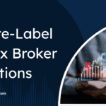 The Beginner’s Roadmap to Launching a Forex Brand in 30 Days