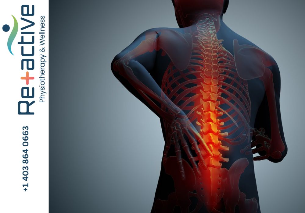 WCB Physiotherapy & Sylvan Lake Physical Therapy Guide