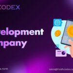 How Professional ICO Development Services Can Accelerate the Growth of Your Blockchain Startup