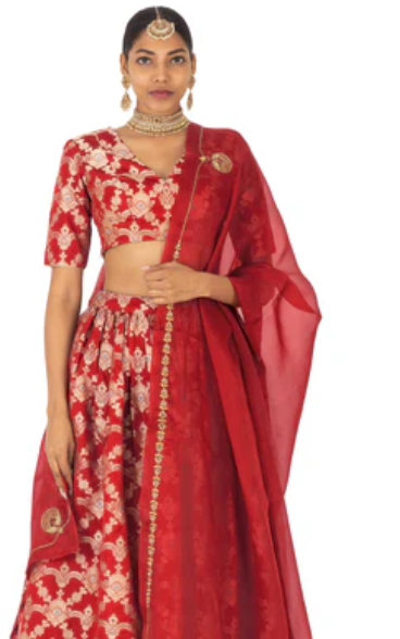 Wedding Lehenga Styles Every Modern Bride Dreams Of