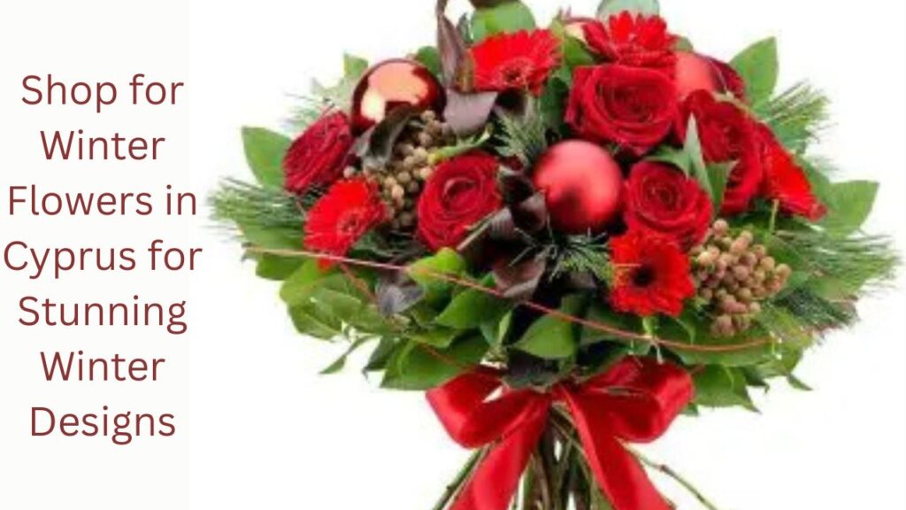 Shop for Winter Flowers in Cyprus for Stunning Winter Designs