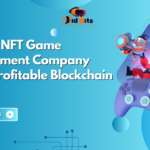 How an NFT Game Development Company Builds Profitable Blockchain Games