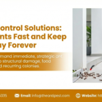 Ant Pest Control Blueprint: Fast, Effective Ways to Destroy Hidden Colonies