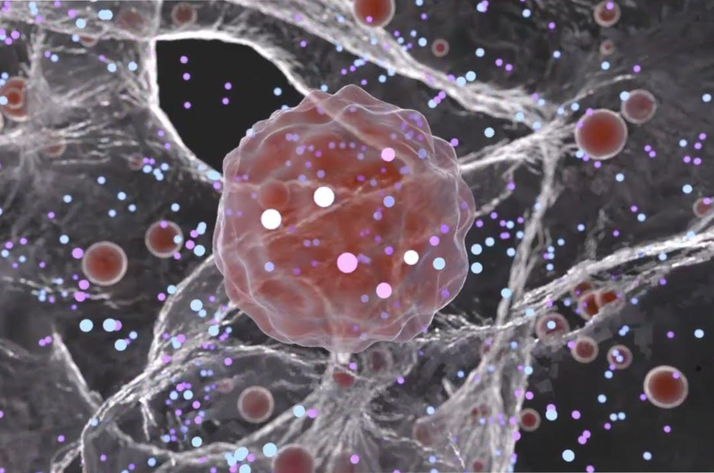 What Innovations Use Plasma For Better Lifestyle Results?