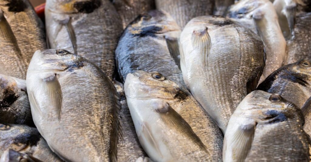 Fresh from the Sea to Your Table: The Smart Way to Enjoy Quality Seafood