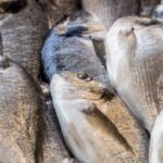 Fresh from the Sea to Your Table: The Smart Way to Enjoy Quality Seafood