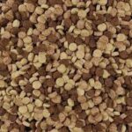 Buy Pet Food in Bulk: A Complete Guide for Pet Owners