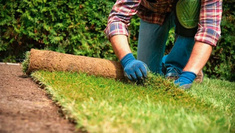 Residential Lawn Maintenance: Essential Tips for a Healthy, Green Yard