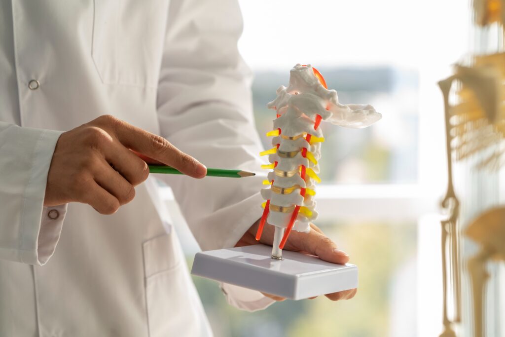 L4–L5 Spine Problems: Key Warning Signs You Must Know