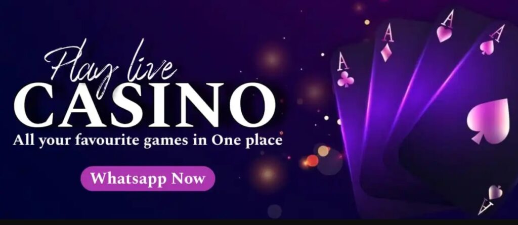 Tiger Exchange 247 – Complete Guide to Tigerexch 247 Login