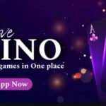 Tiger Exchange 247 – Complete Guide to Tigerexch 247 Login