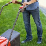 Lawn Mowing Service Sydney for Healthy Grass Growth