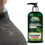 Best Shampoo for Dandruff: A Smarter Path to a Healthier Scalp