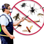 Pest Infestations in Rental Properties: Health Risks and Tenant Claim Rights