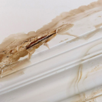 Water Leaks and Property Damage in Rental Homes: Health Risks and Tenant Claim Rights