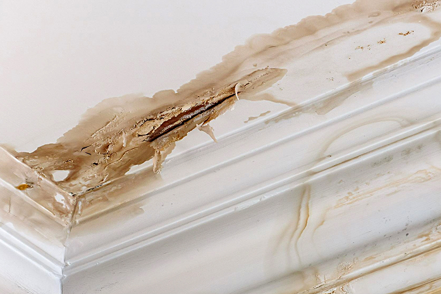 Water Leaks and Property Damage in Rental Homes: Health Risks and Tenant Claim Rights