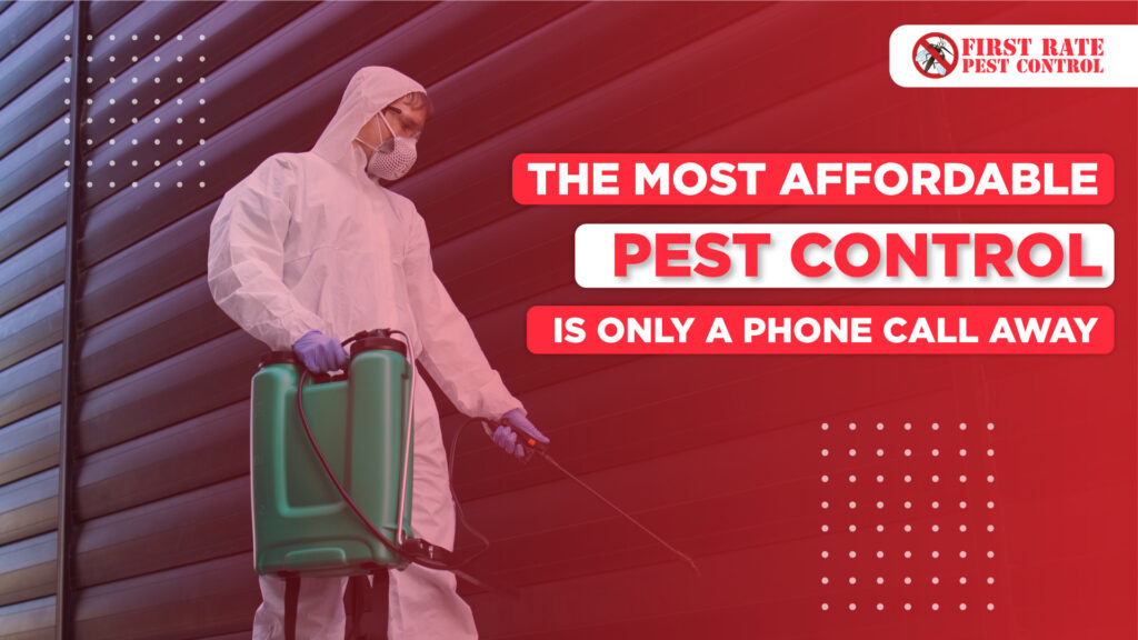 The Ultimate Homeowner’s Guide to Professional Mosquito Control and Flea Extermination