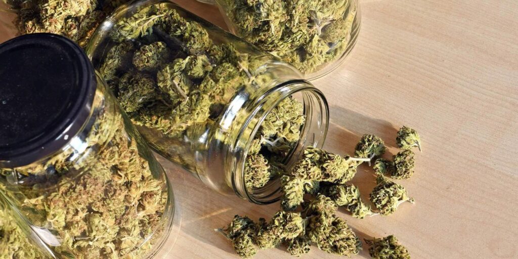 How to Safely Buy Weed Online in BC: Here’s the Complete Guide