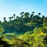 Explore Sacred Sites with Customized Buddhist Tour Packages