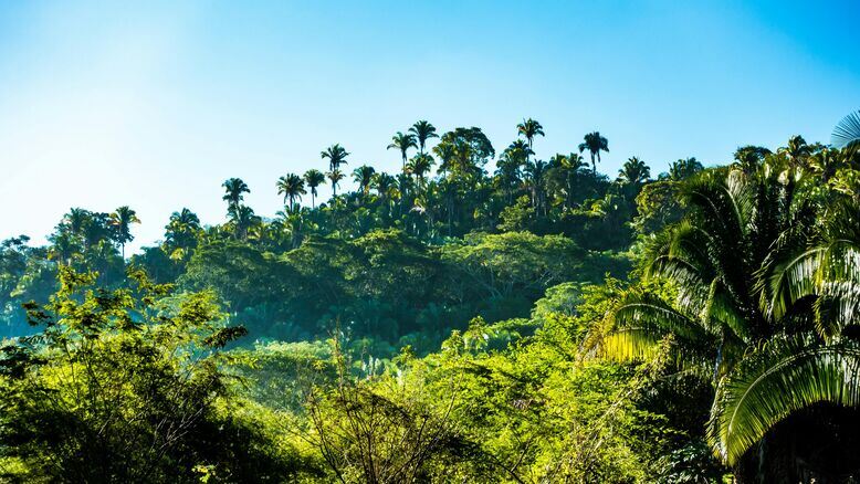team or Private Buddhist Tour Packages: Which One is Right for You?