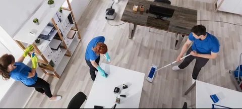 Step By Step Guide To Safe Mold & Odor Removal For Professional Cleaners