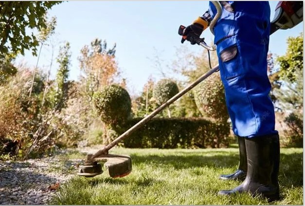 Garden Clean Up Services for a Beautiful and Tidy Outdoor Space