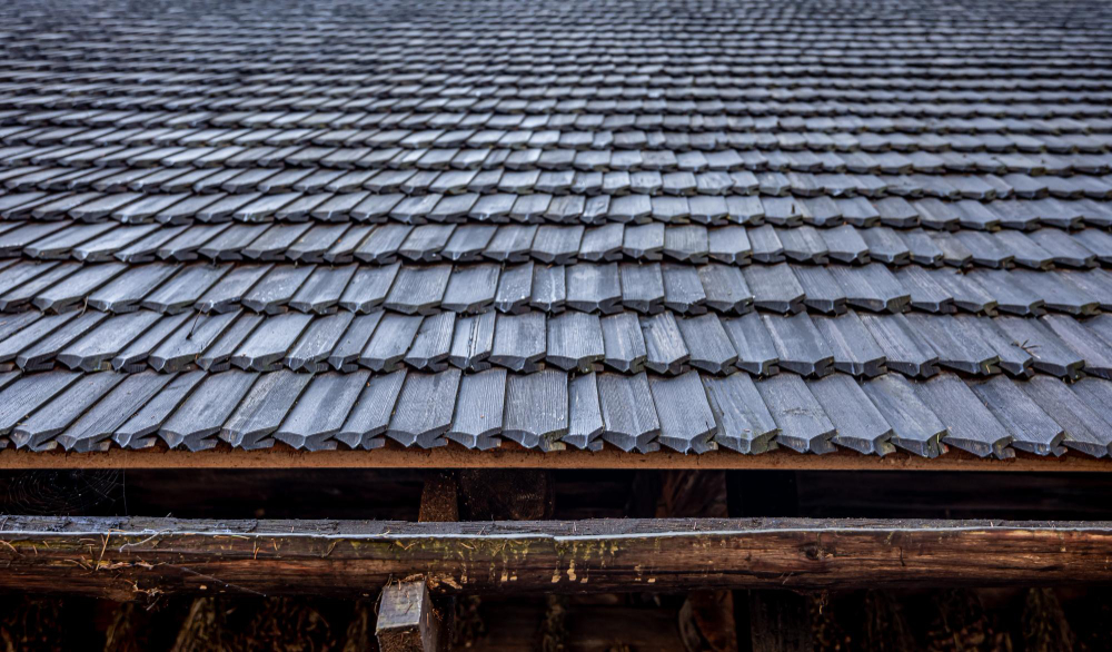 Roofers in Brighton and Hove: Reliable Roofing Services You Can Trust