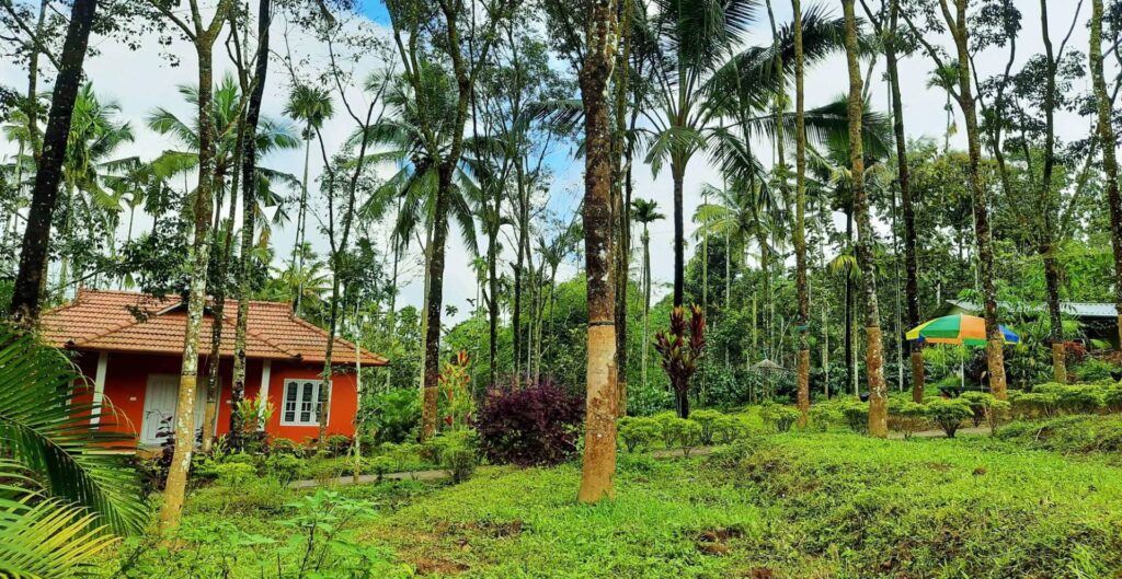 Experience the Best Homestay in Wayanad for a Peaceful Getaway