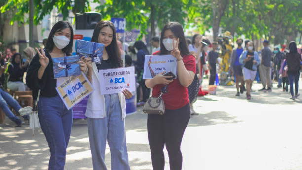 BCA Job Consultancy Bhadohi & BCA SEO Job Bhadohi by Bhadohi Job Placement Consultant.