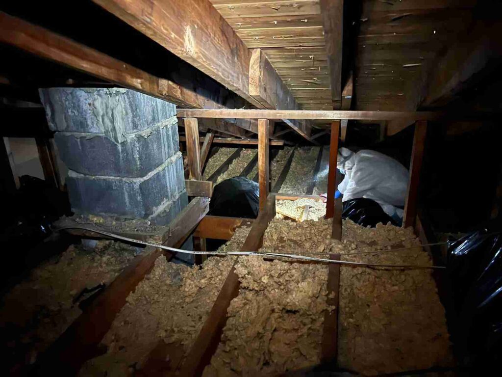 Upgrade Crawl Space Comfort with Olympia Experts