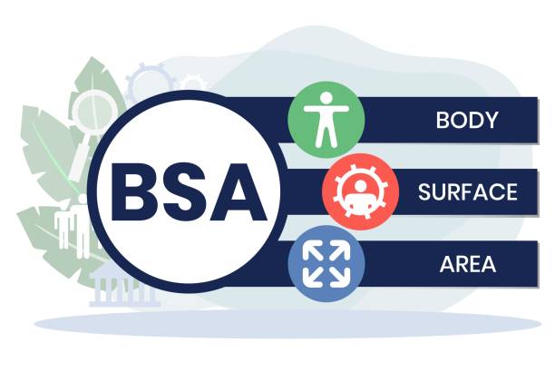 BCA Job Consultancy Bhadohi & BCA SEO job Bhadohi by Bhadohi Job Placement Consultant