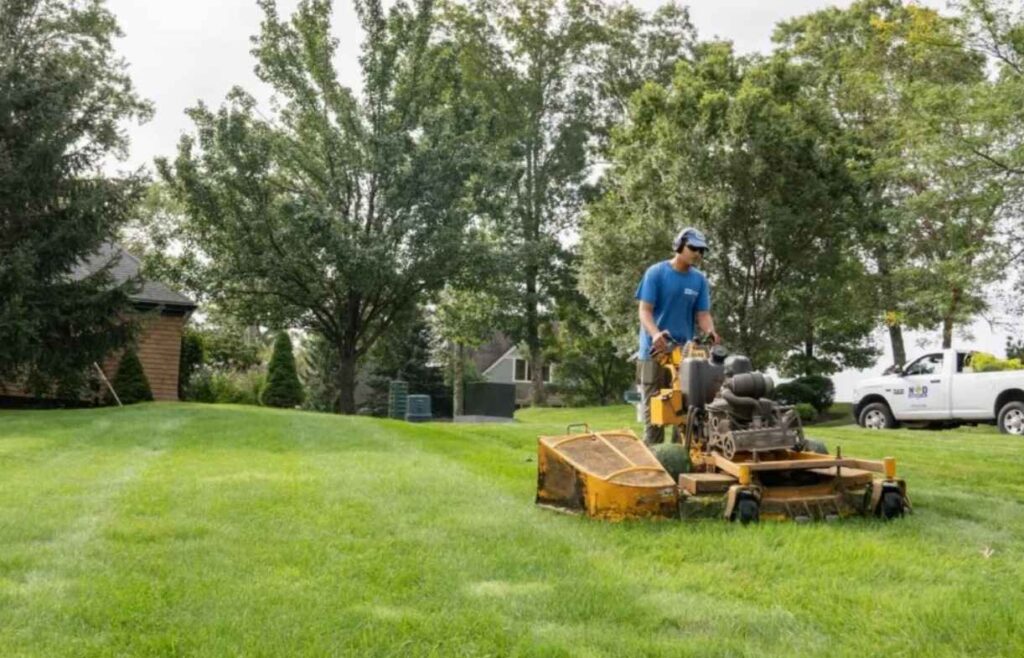 Complete Guide to Modern Landscaping Solutions for Homes and Businesses